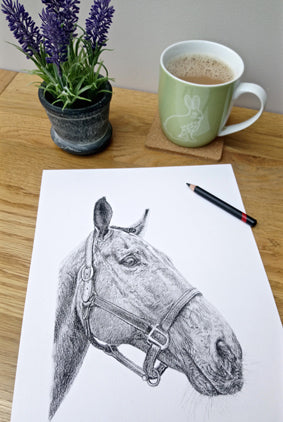 Charcoal Portrait of Pete the Horse - From Start to Finish