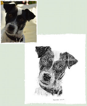 Charcoal Portrait Of Badger The Jack Russell - From Start to Finish