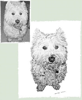 Charcoal Portrait of Gamble The Westie - From Start to Finish