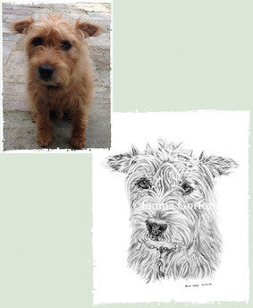 Charcoal Portrait of Pickles The Dog - From Start to Finish