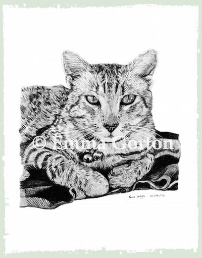 Charcoal Portrait Of Rameses The Egyptian Mau - From Start to Finish