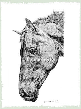 Charcoal Portrait Of Siege The horse - From Start to Finish