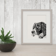 Black and White "Peekaboo" Dog Giclee Art Prints