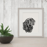 Black and White "Peekaboo" Dog Giclee Art Prints