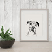 Black and White "Peekaboo" Dog Giclee Art Prints