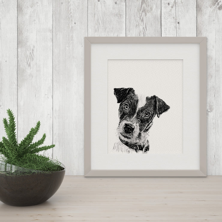 Black and White "Peekaboo" Dog Giclee Art Prints