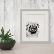 Black and White "Peekaboo" Dog Giclee Art Prints