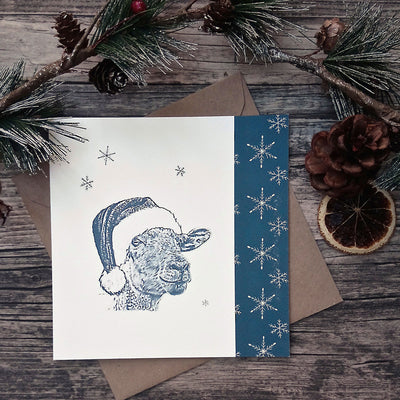 "Baa Humbug" Sheep Christmas Card - Bella & Bryn